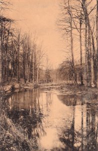 Etang de l'Ermite - vallon de la Vuylbeek - Foret de Soignes