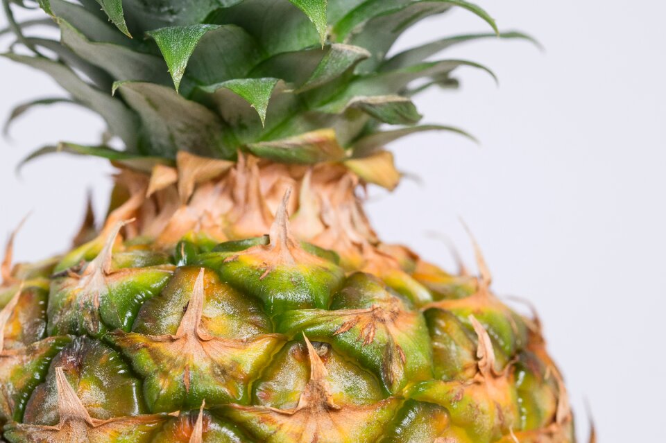 Tropical fruit close up
