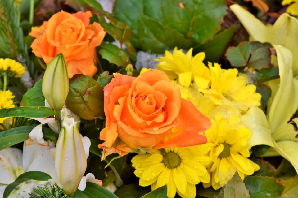 Flowers bouquet of flowers orange roses