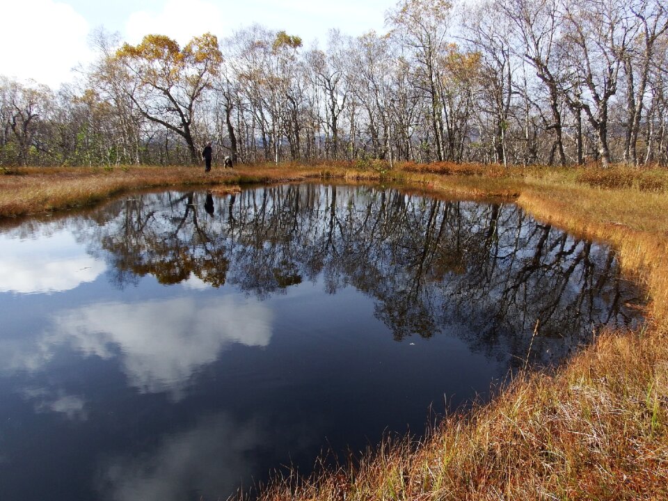 Swamp reflection nature photo
