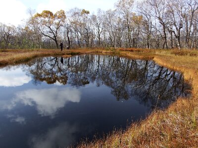 Swamp reflection nature photo