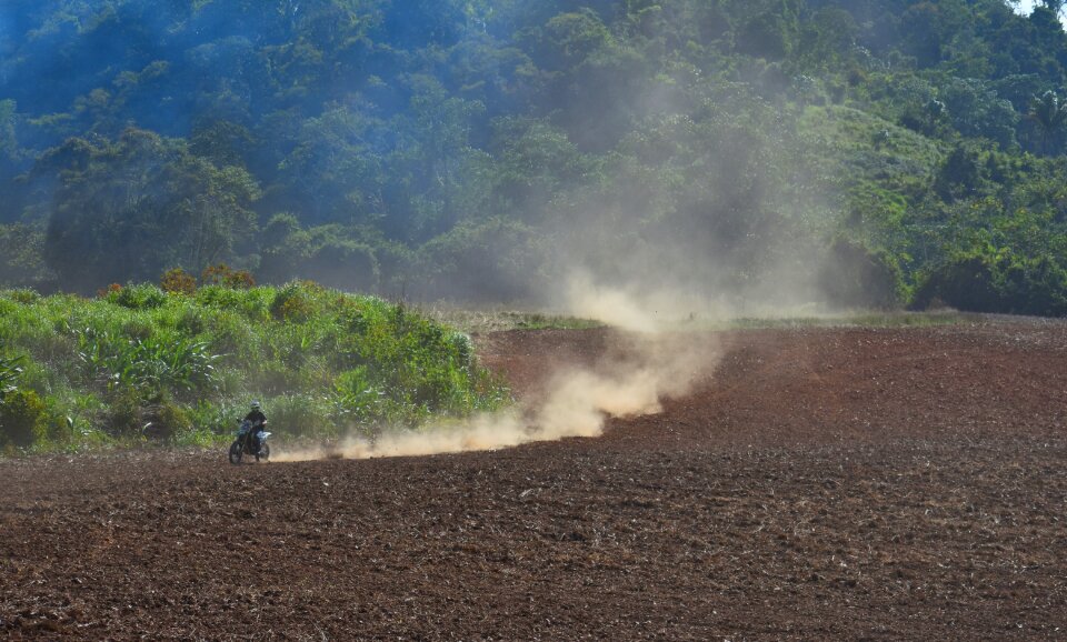 Agriculture panoramic field