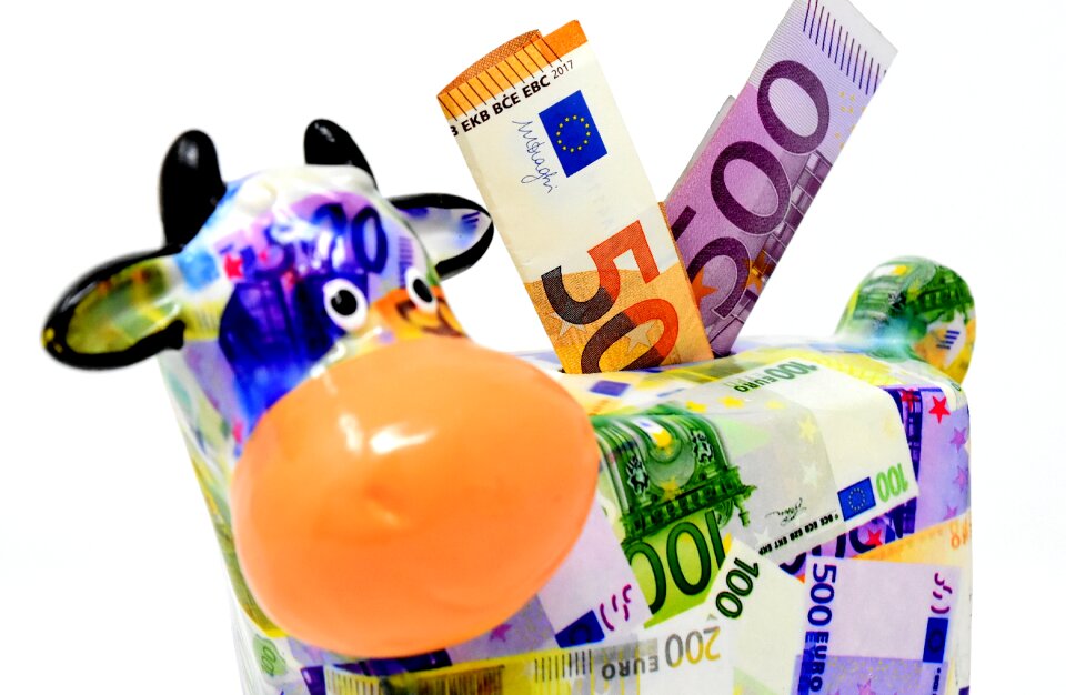 Dollar bill 500 euro 50 euro