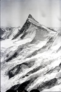 ETH-BIB-Agassizhorn, Finsteraarhorn, Grindelwalder Fieschhorn v. N. aus 4000 m-Inlandflüge-LBS MH01-006223