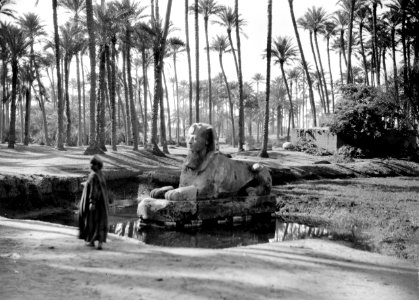 ETH-BIB-Alabaster Sphinx, Tempel des Ptah, Memphis, Ägypten-Kilimanjaroflug 1929-30-LBS MH02-07-0158