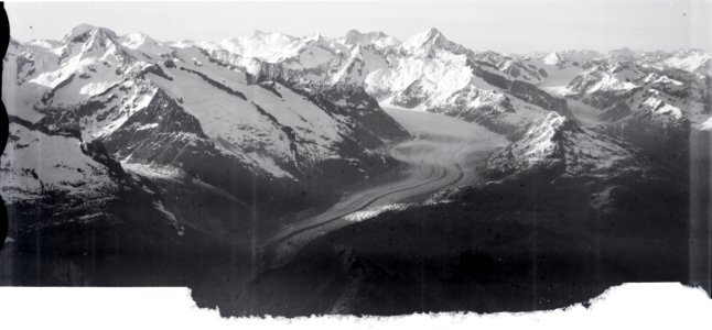 ETH-BIB-Aletschgletscher, Aletschhorn, Finsteraarhorn, Schreckhörner, Walliser-Fiescherhörner v. S. aus 4100 m-Inlandflüge-LBS MH01-005698