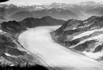 ETH-BIB-Aletschgletscher, Eggishorn, Monte Leone v. N. aus 4000 m-Inlandflüge-LBS MH01-005499