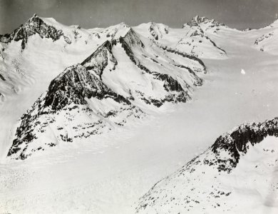 ETH-BIB-Aletschhorn, Jungfrau, Mönch v. S. aus 4000 m-Inlandflüge-LBS MH01-000401