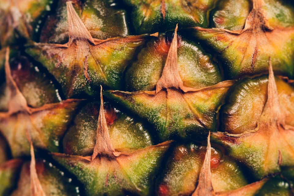 Exotic food wallpaper