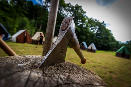Hatchet scout nature