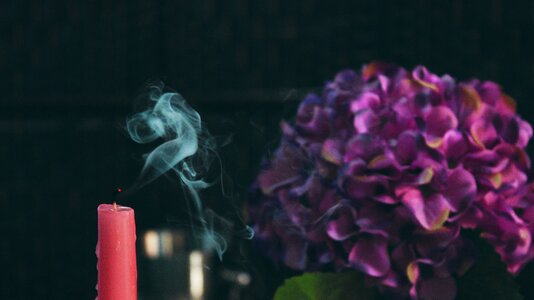 Flower blur display