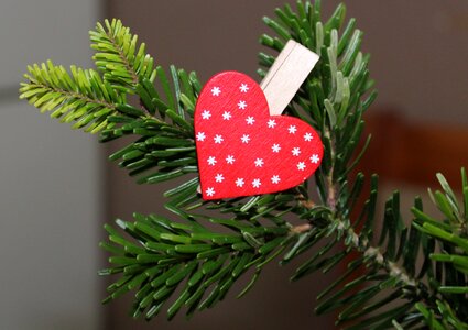 Valentine's day red symbol