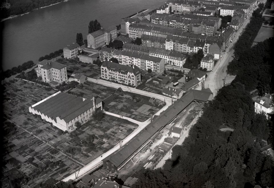 ETH-BIB-Basel, Halle, in den Klosterreben-Inlandflüge-LBS MH03-0110