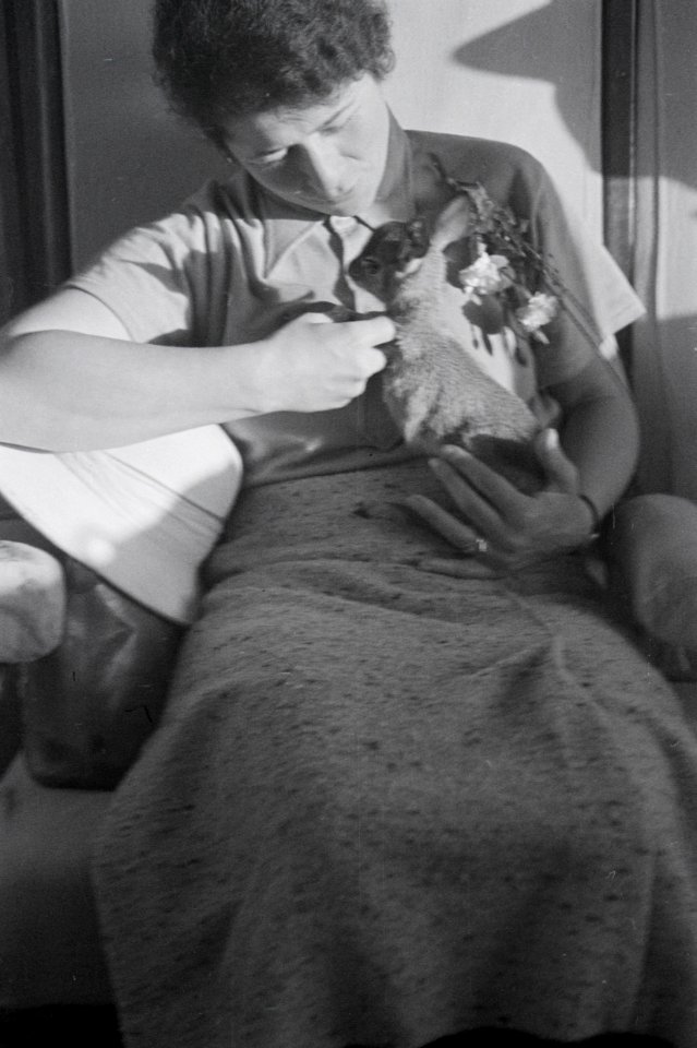 ETH-BIB-Begleiterin Mittelholzers mit einer jungen Ziege-Abessinienflug 1934-LBS MH02-40-0006