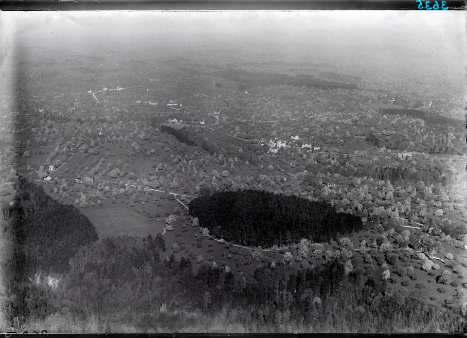 ETH-BIB-Berg, Baumblüte v. O. aus 800 m-Inlandflüge-LBS MH01-003635