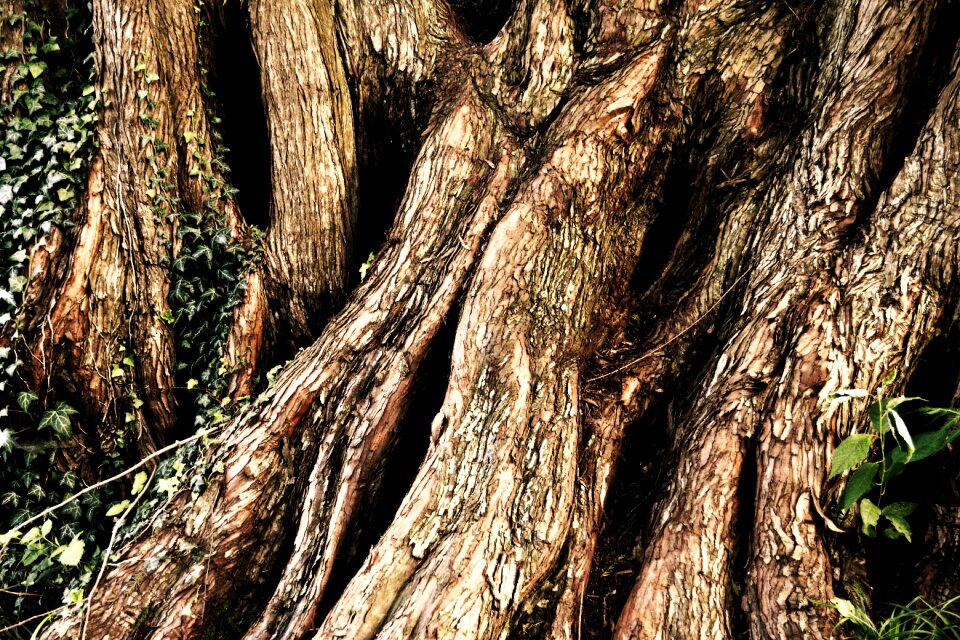 Nature mood atmospheric