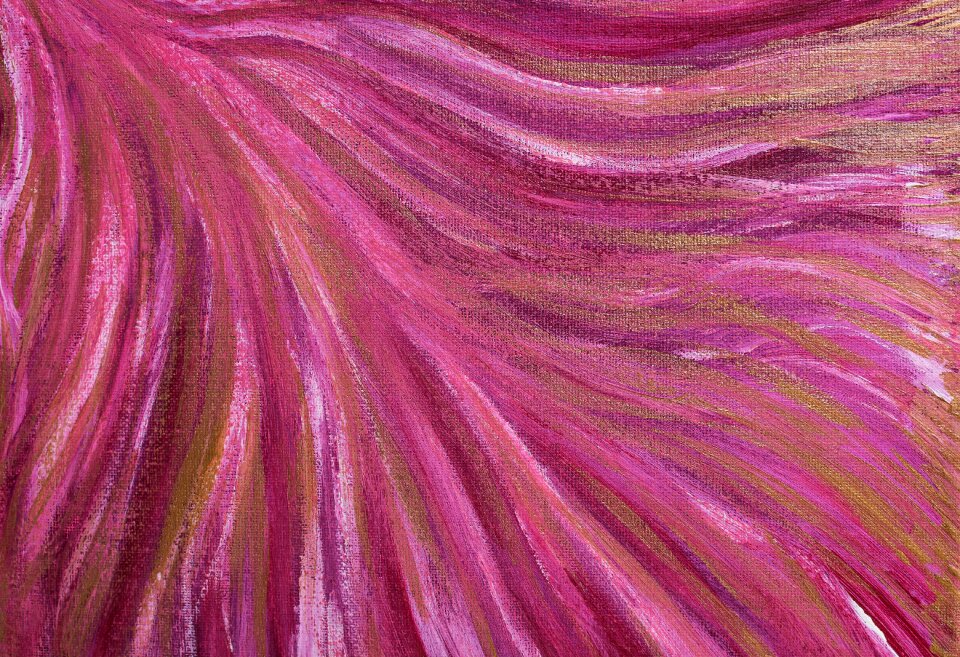 Color colorful pink