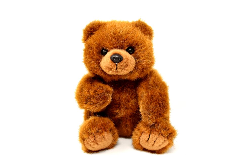 Teddy bear bears stuffed animals