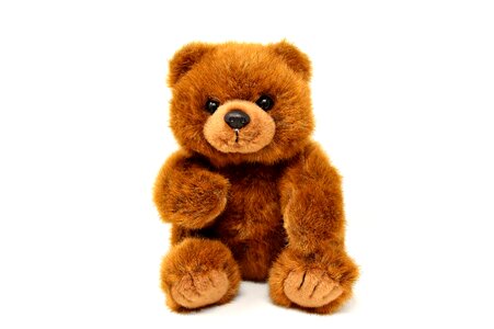 Teddy bear bears stuffed animals photo