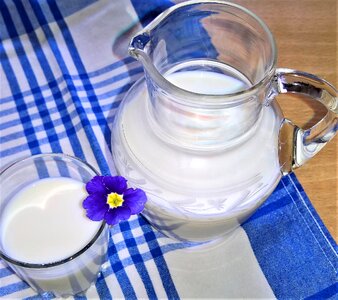 Drink cow's milk healthy photo