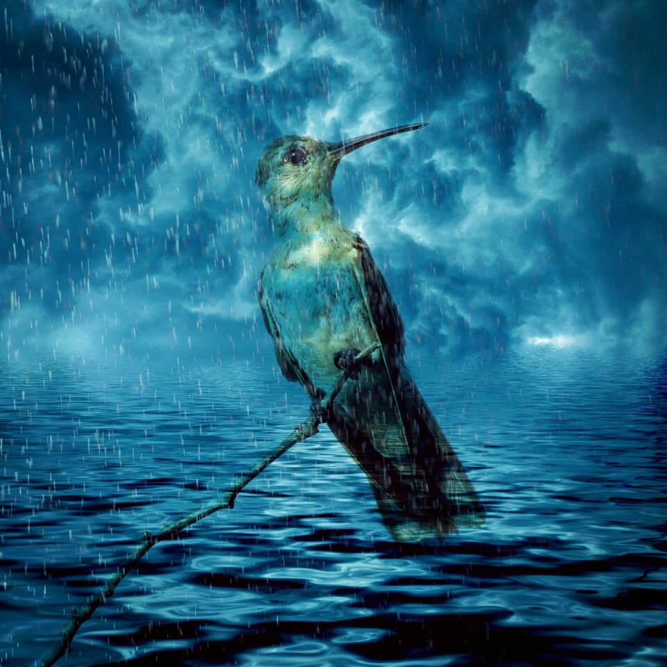 Climate change flood threat