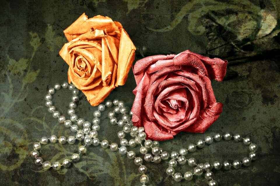 Pink rose yellow rose pearls