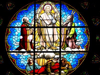 Palma cathedral window