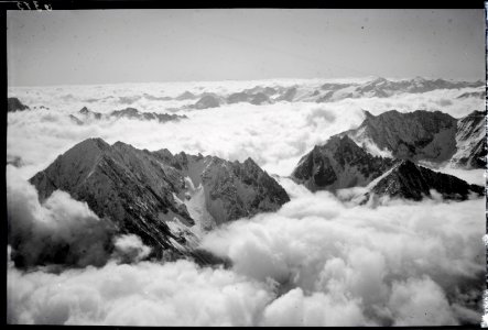 ETH-BIB-Bristenstock, Sunnig Wichel im Wolkenmeer v. N. aus 3300 m-Inlandflüge-LBS MH01-006315