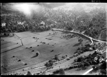 ETH-BIB-Buechen bei Staad aus 300 m-Inlandflüge-LBS MH01-003478