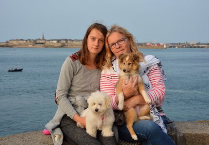 Complicity dogs puppies