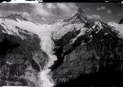 ETH-BIB-Bärglistock, Oberer Grindelwaldgletscher, Schreckhorn v. N. W.-Inlandflüge-LBS MH01-004902