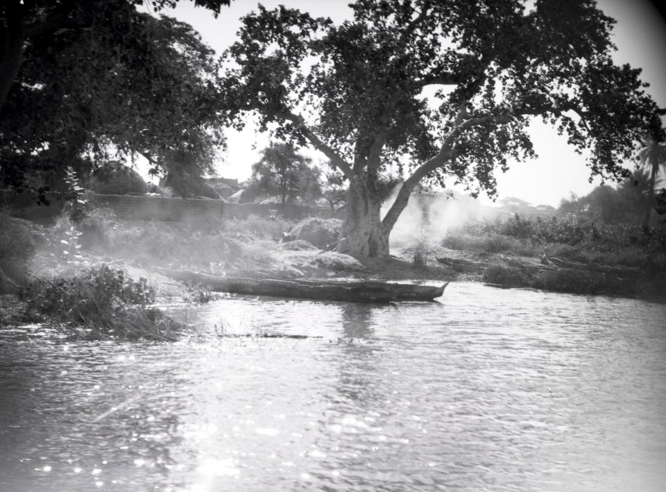 ETH-BIB-Bäume und Kanus am Ufer des Nigers bei Gao-Tschadseeflug 1930-31-LBS MH02-08-0517