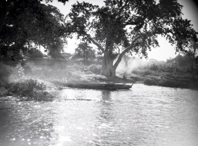 ETH-BIB-Bäume und Kanus am Ufer des Nigers bei Gao-Tschadseeflug 1930-31-LBS MH02-08-0517