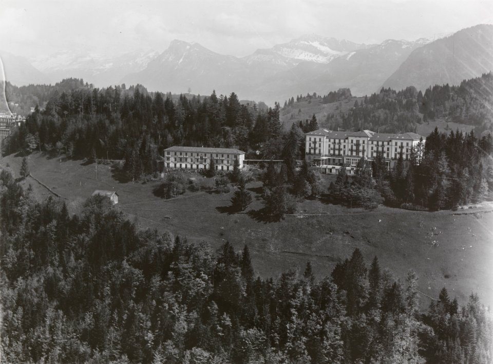 ETH-BIB-Bürgenstock, Bauenstock v. N. W. aus 1900 m-Inlandflüge-LBS MH01-001614