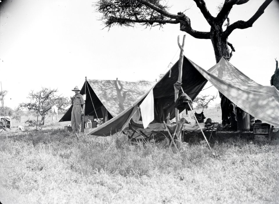 ETH-BIB-Camp Serengeti-Kilimanjaroflug 1929-30-LBS MH02-07-0312