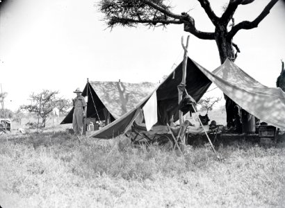 ETH-BIB-Camp Serengeti-Kilimanjaroflug 1929-30-LBS MH02-07-0312 photo