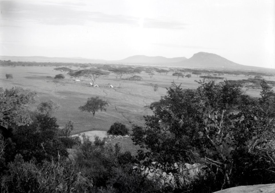 ETH-BIB-Camp Serengeti aus der Ferne-Kilimanjaroflug 1929-30-LBS MH02-07-0495