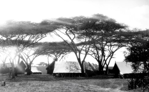 ETH-BIB-Camp Serengeti-Kilimanjaroflug 1929-30-LBS MH02-07-0384