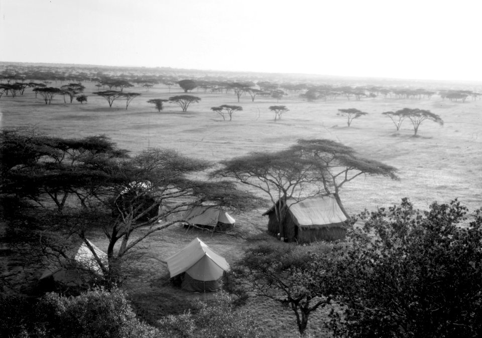 ETH-BIB-Camp Serengeti von Hügel aus fotografiert-Kilimanjaroflug 1929-30-LBS MH02-07-0509