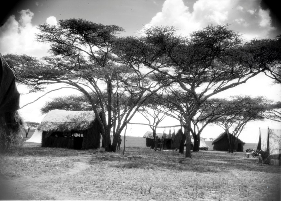 ETH-BIB-Camp Serengeti-Kilimanjaroflug 1929-30-LBS MH02-07-0506