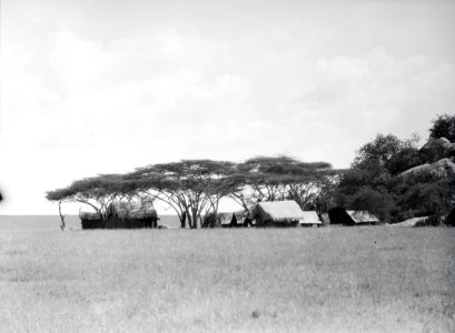 ETH-BIB-Camp Serengeti-Kilimanjaroflug 1929-30-LBS MH02-07-0320 photo