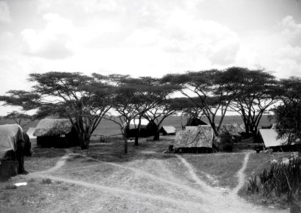 ETH-BIB-Camp Serengeti-Kilimanjaroflug 1929-30-LBS MH02-07-0503
