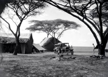 ETH-BIB-Camp Serengeti-Kilimanjaroflug 1929-30-LBS MH02-07-0285 photo