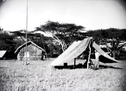 ETH-BIB-Camp Serengeti-Kilimanjaroflug 1929-30-LBS MH02-07-0321 photo
