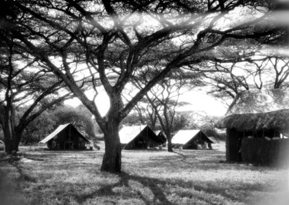 ETH-BIB-Camp Serengeti-Kilimanjaroflug 1929-30-LBS MH02-07-0505 photo