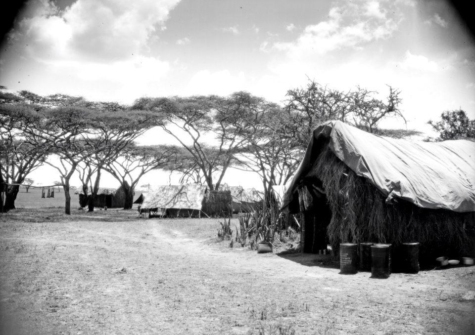 ETH-BIB-Camp Serengeti-Kilimanjaroflug 1929-30-LBS MH02-07-0510