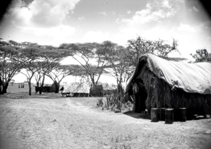 ETH-BIB-Camp Serengeti-Kilimanjaroflug 1929-30-LBS MH02-07-0510 photo