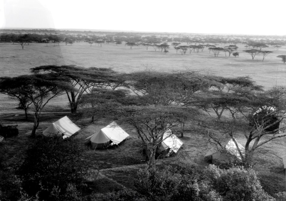 ETH-BIB-Camp Serengeti von Hügel aus fotografiert-Kilimanjaroflug 1929-30-LBS MH02-07-0496