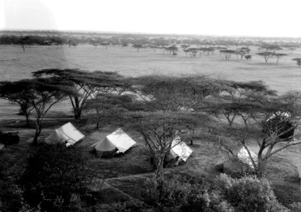 ETH-BIB-Camp Serengeti von Hügel aus fotografiert-Kilimanjaroflug 1929-30-LBS MH02-07-0496 photo