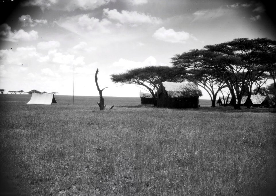 ETH-BIB-Camp Serengeti-Kilimanjaroflug 1929-30-LBS MH02-07-0502